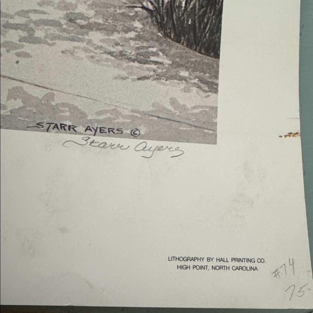 VTG 1988 Starr Ayers Charleston On My Mind Art Litho Print - Picture 7 of 11